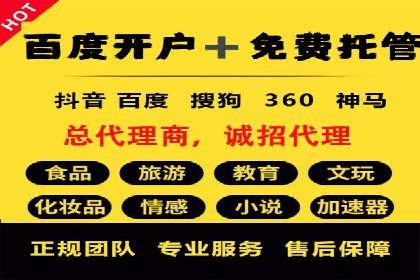 SEM托管公司案例研究：优化策略解析